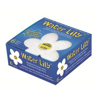 Water Lily AstralPool - Boîte de 6 Éponges Absorbantes pour Skimmer Piscine