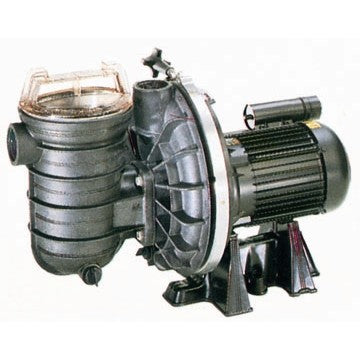 Pompe de Filtration Pentair Sta-Rite HD 2 CV Triphasée IE3 - Eau Douce et Salée