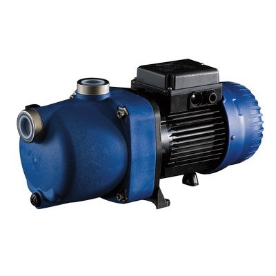 Surpresseur Polaris 1 CV Monophasé - Pompe Booster Robot Piscine
