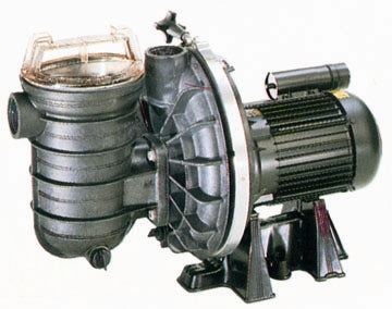 Pompe La Sta-Rite III Pentair 0,75 HP Triphasé