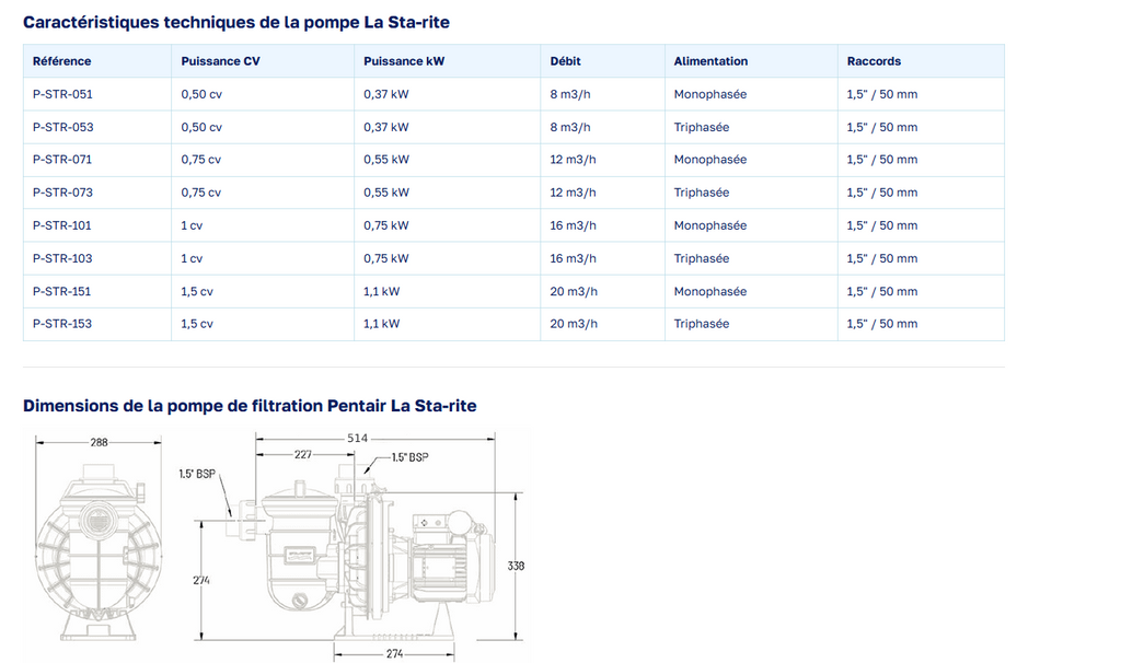 Pompe de filtration Starite Pentair P-STR-101 - Image 2