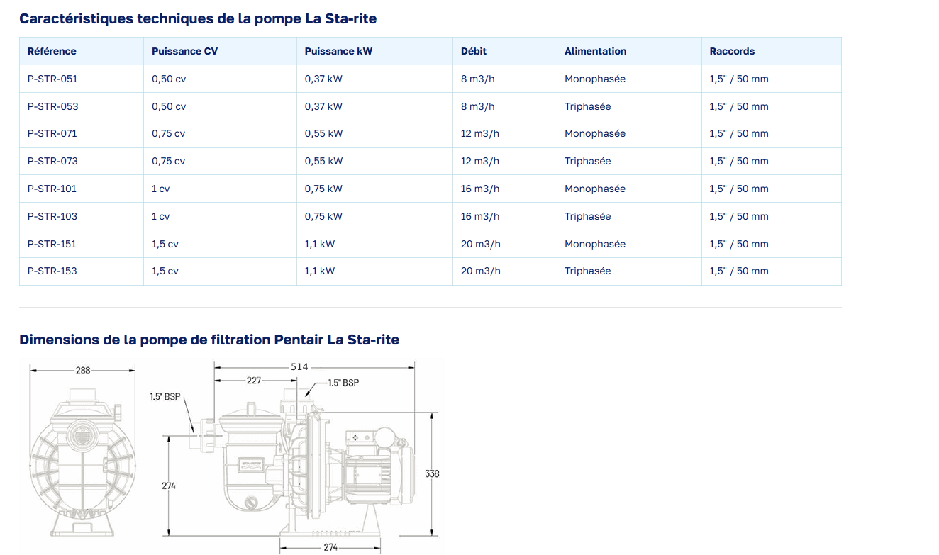 Pompe de filtration Starite Pentair P-STR-101 - Image 2