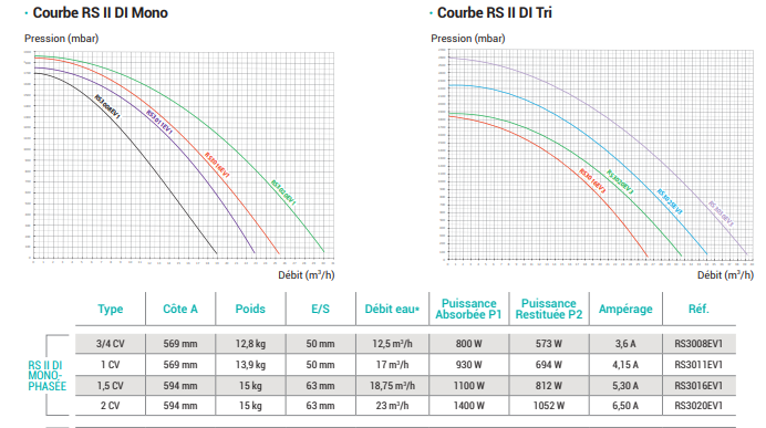 Pompe RS II DI HAYWARD - Image 3